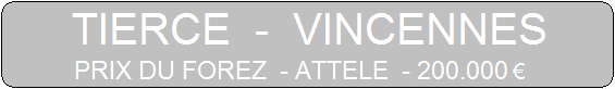 Course hippique &agrave; Vincennes